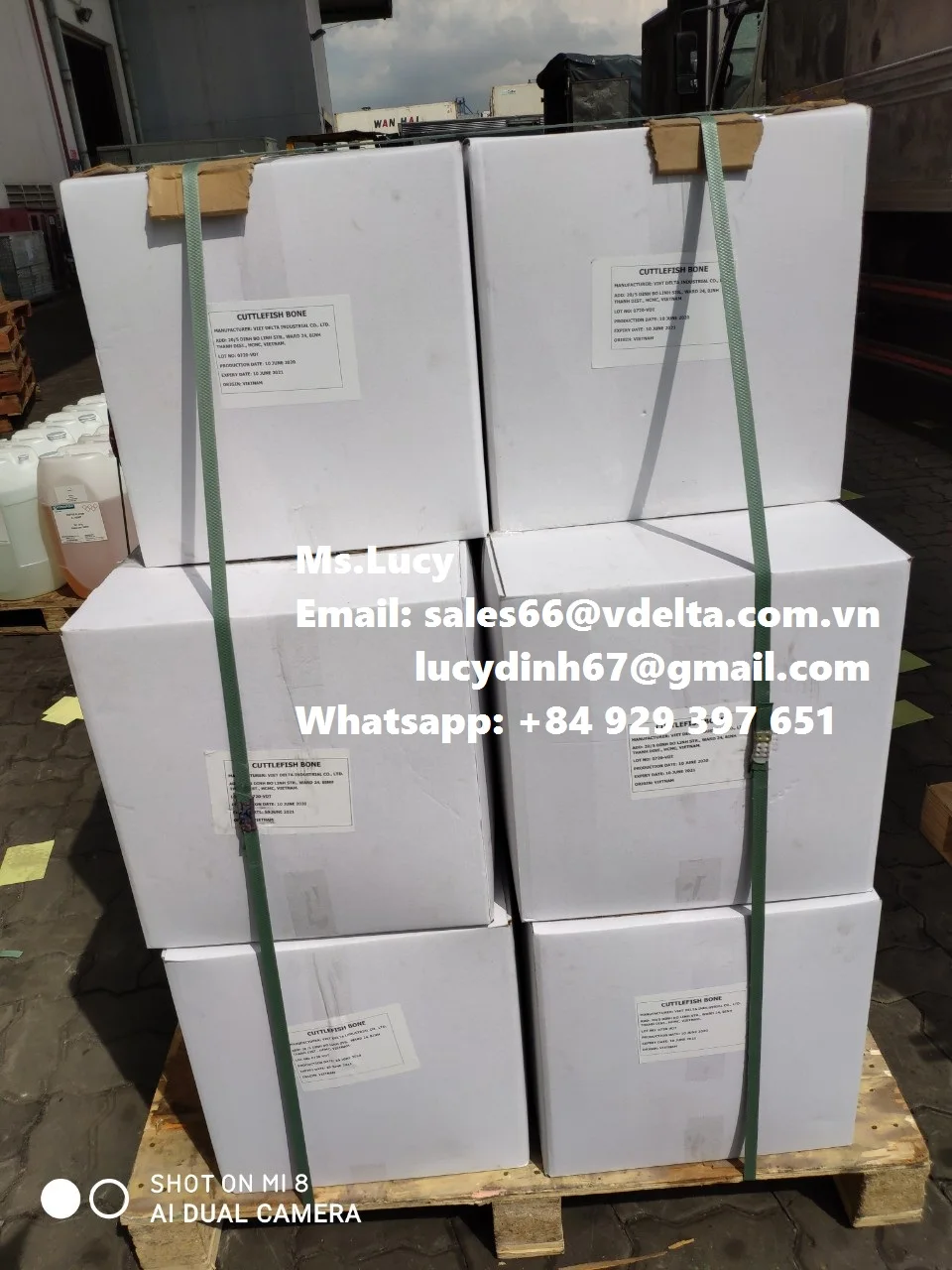 Экспорт высококачественного порошка для костей морской слепки/сушеная косточка морской слепки/вьетнамская косточка морской слепки мс. Люси + 84 929 397 651
