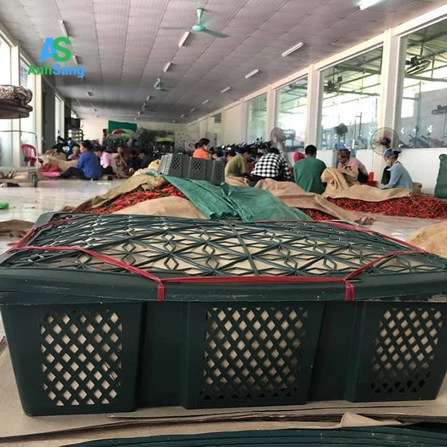 
Good Quality Fresh Chili Keep For A Long Time 