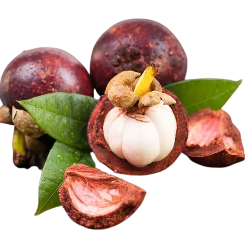 Мангостин, международный стандарт, свежие фрукты, Вьетнам, специальная цена