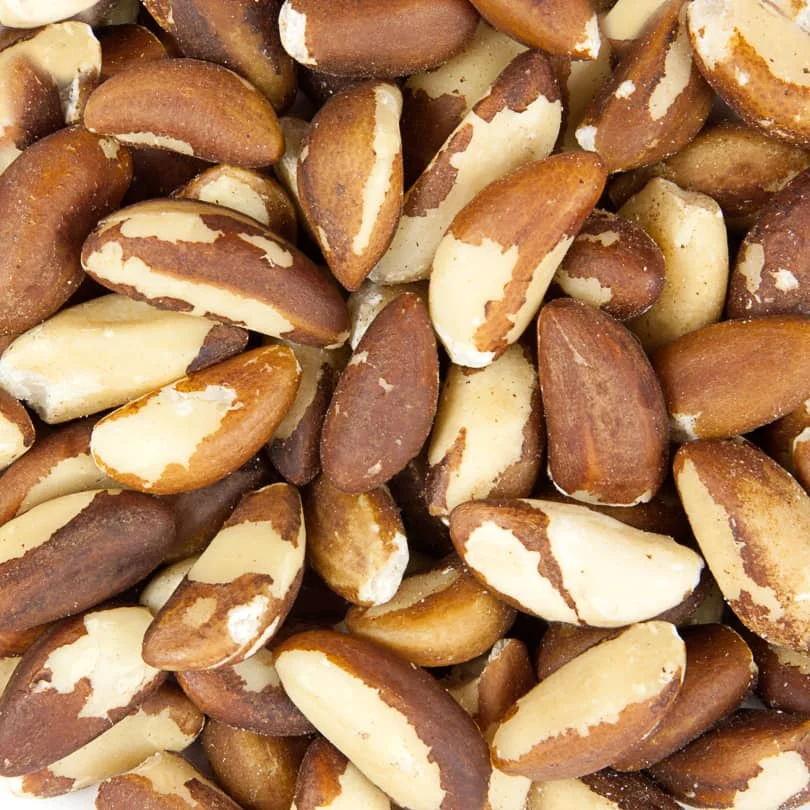 
Dried Brazil Nuts Top Quality Shell-less 