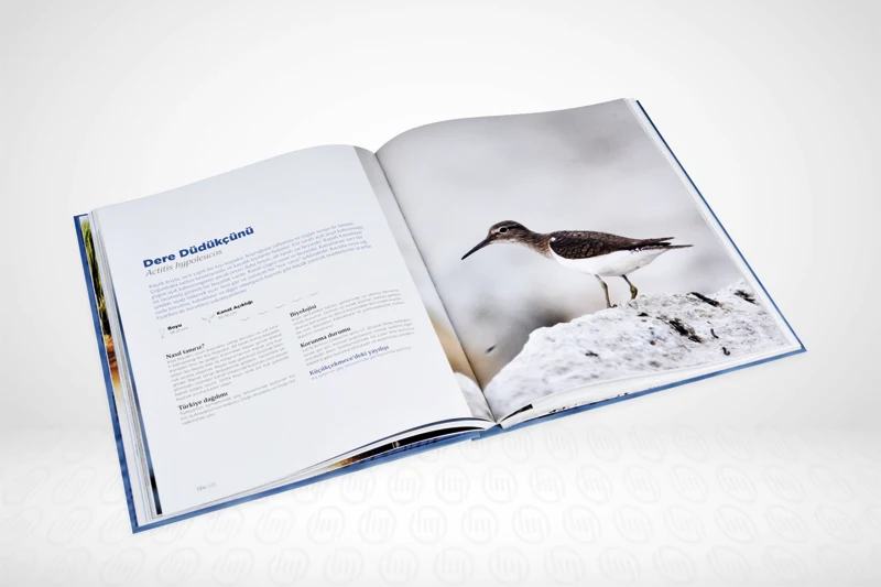 Книги: качественная оптовая продажа цветной дизайн офсетная брошюра с седлом подвязка каталог на заказ служба печати