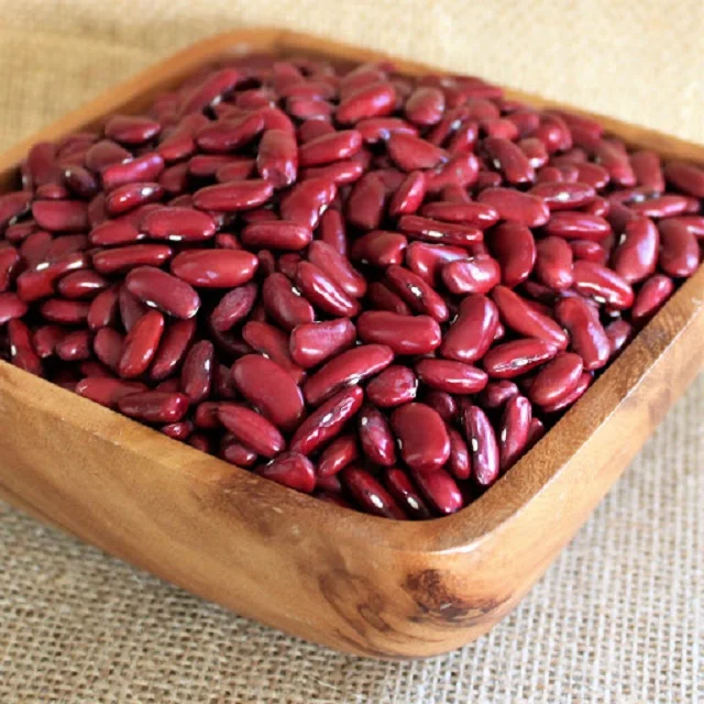 Оптовая продажа Pinto Bean красная зернистая фасоль