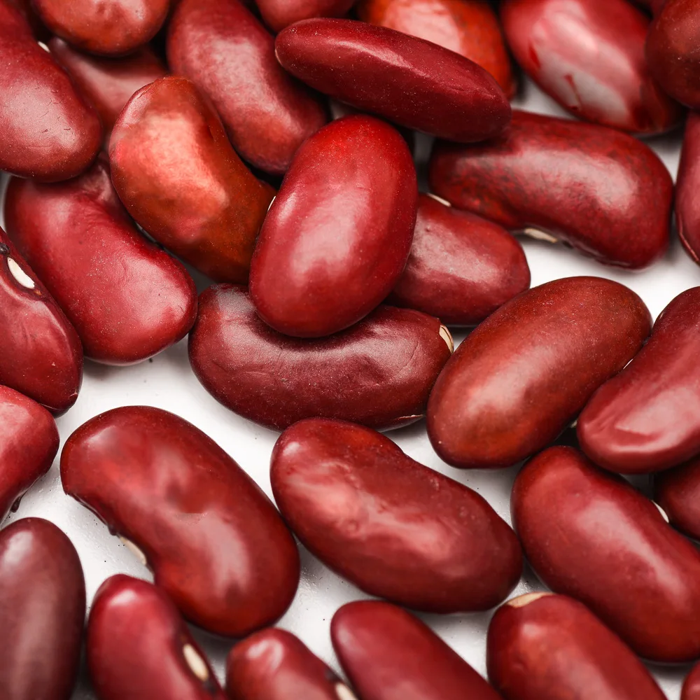 Хит продаж сельскохозяйственная продукция китайская фасоль