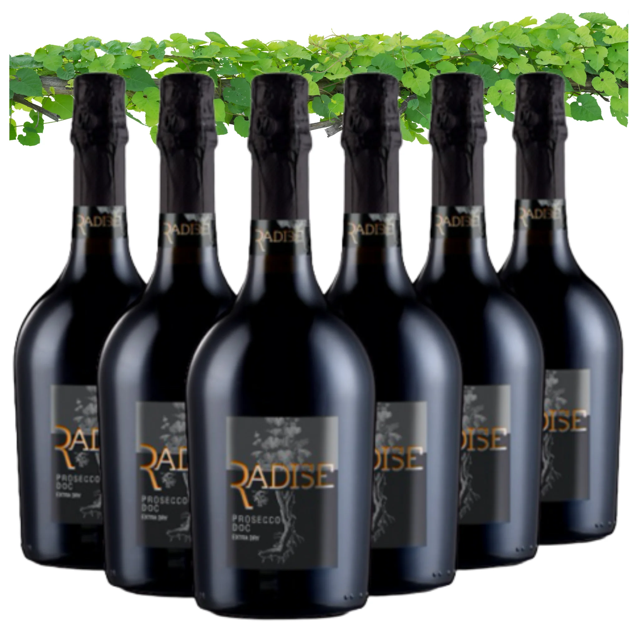 Top Prosecco DOC Extra Dry Sparkling WIne - Radise - Prosecco wine alcohol 11% Made in Italy