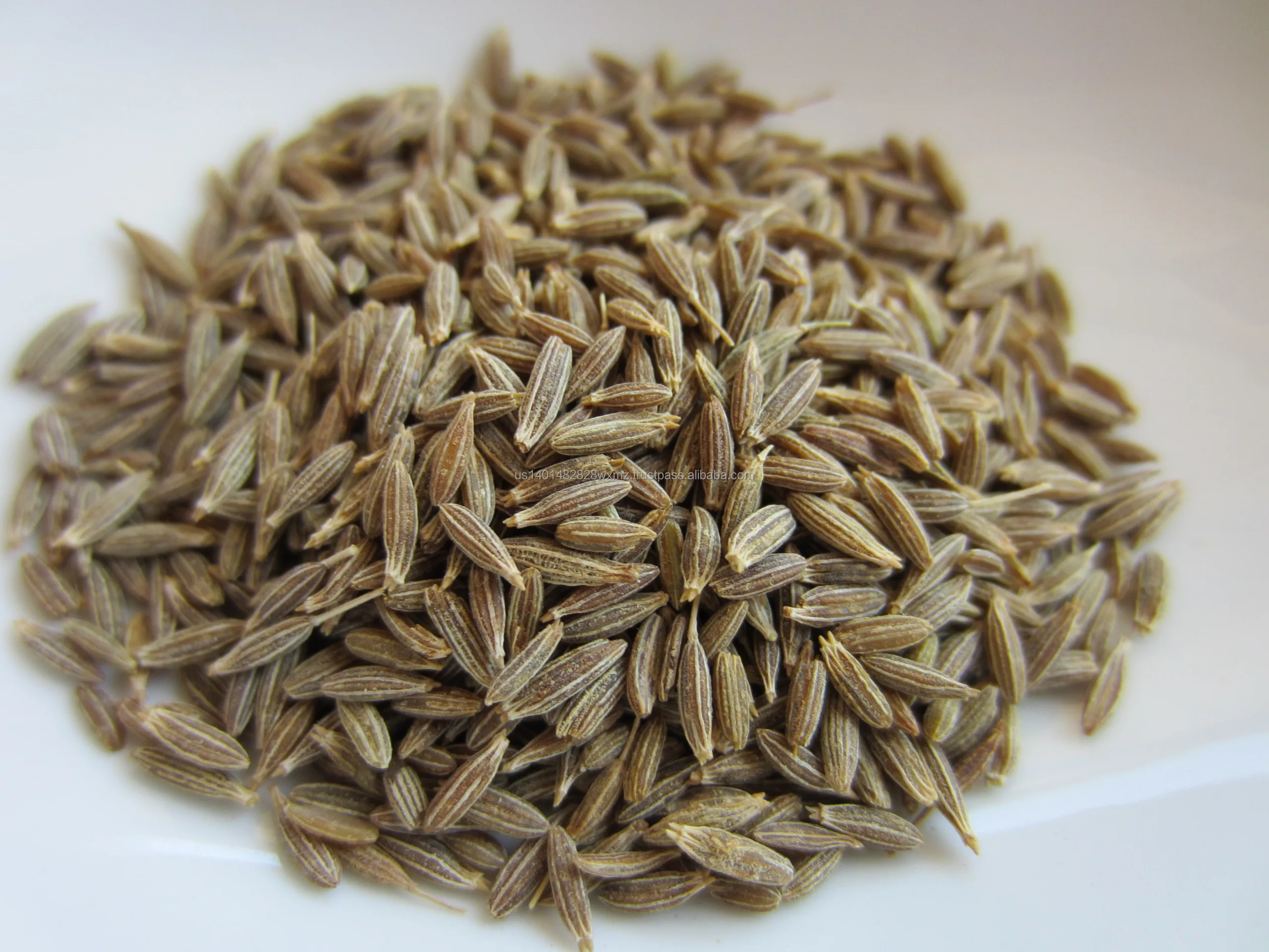 HIGH QUALITY CUMIN SEEDS EXPORT PRICE