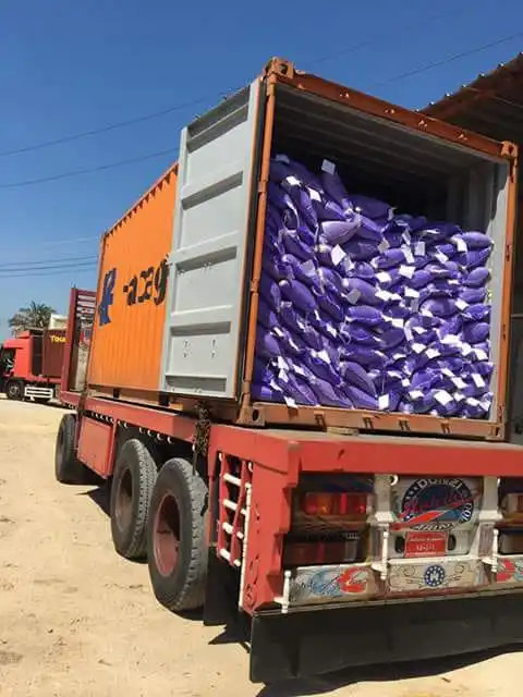 100% свежая белая фасоль-высокое качество по низкой цене