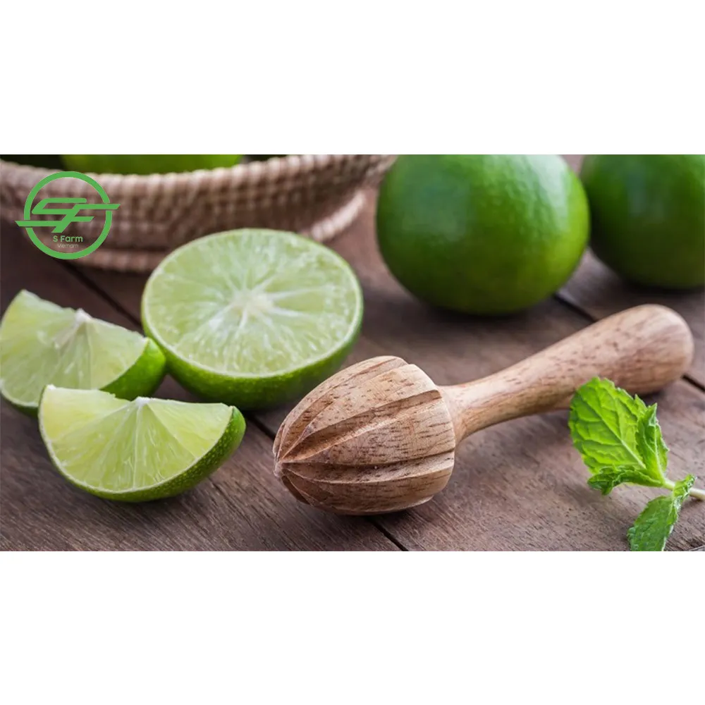 Vietnam Fresh Seedless Lemon (Whatsapp/zalo/wechat: +84 912 964 858)