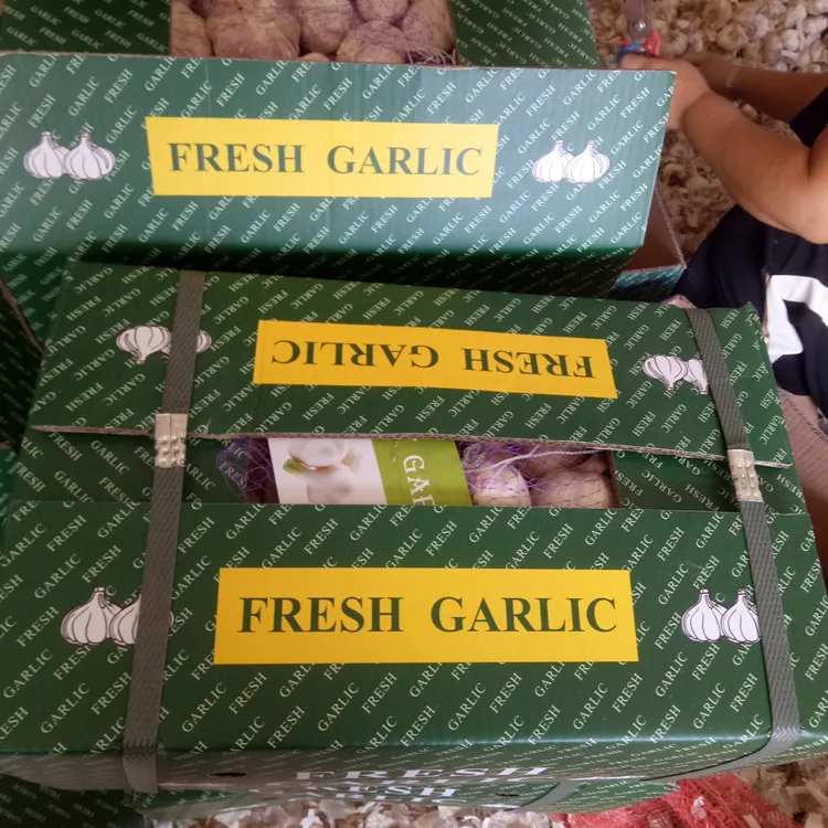 Hot sale size 5.0 up fresh garlic normal white