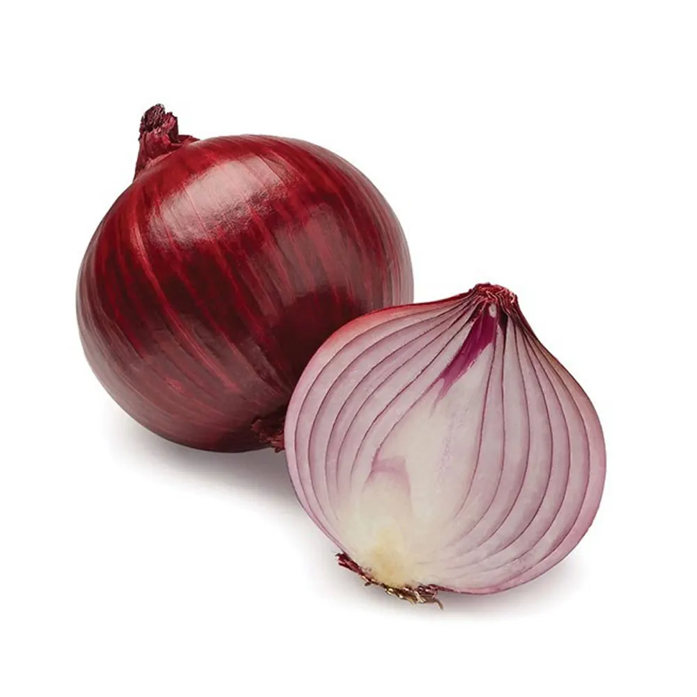 Pakistani Made Fresh Onion wholesalers fresh vegetables onions for sale