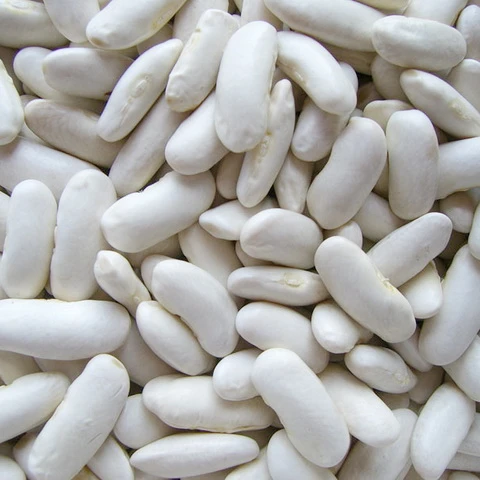 
Best Quality White Butter Beans At Low Cost Bulk Price 
