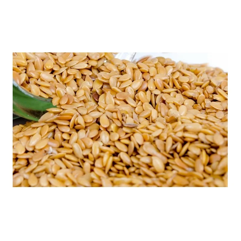 
Wholesale Non GMO Gold Flaxseed Organic 