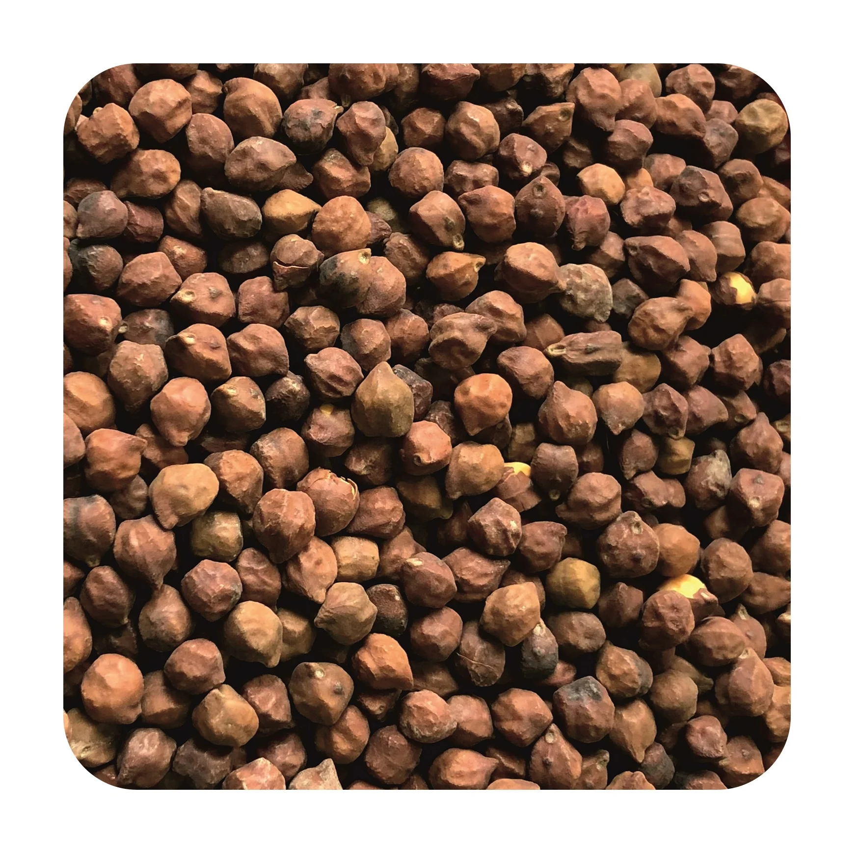 
Quality red desi chickpeas any quality requirements, wholesale prices 