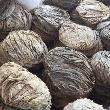 Frozen Wet and Dry Salted Beef Omasum