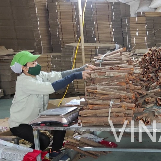 Whole cassia - Vietnamese origin - VINAPRO