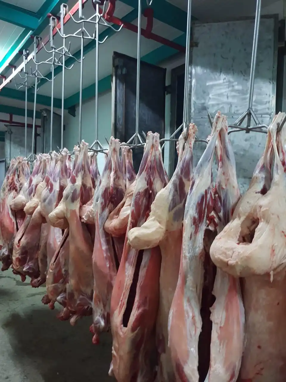 Замороженная говядина высокое качество Казахстан оптовая продажа Органическая натуральная замороженная мясо Халяль
