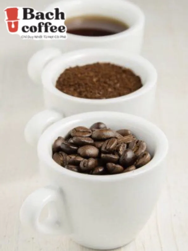 Medium Roast Ground Coffee, Made with 100% Arabica Beans , Wholesale retail , Fair Direct Trade