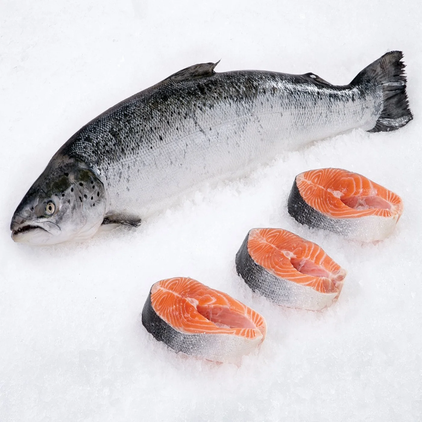 Quality Fresh Salmon Fish / Salmon From Norway - 100% Export Quality Salmon Fish For Wholesale Price