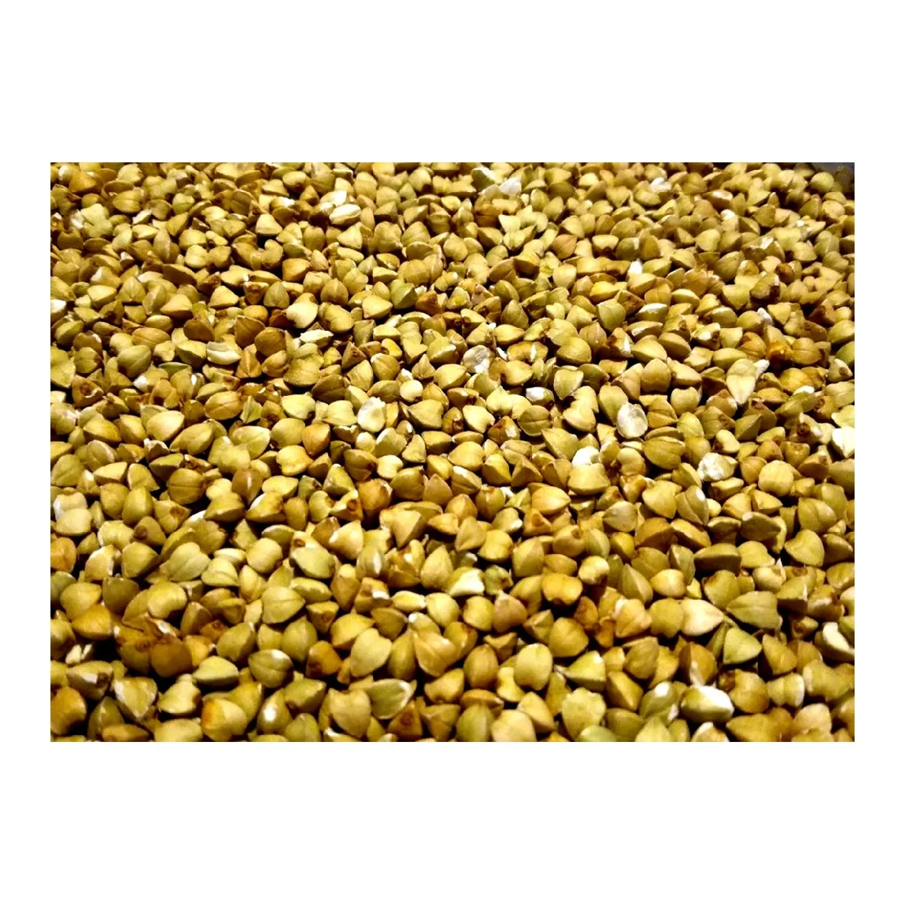 
Green buckwheat distributeur from Russia 