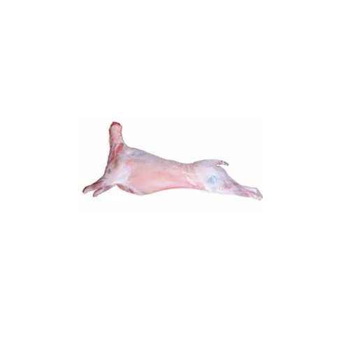 
Frozen lamb carcass without tail 