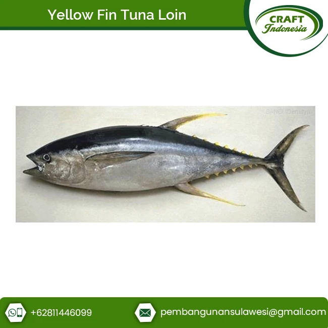 Bulk Exporter Of Loin Yellow Fin Tuna Fish From Indonesia