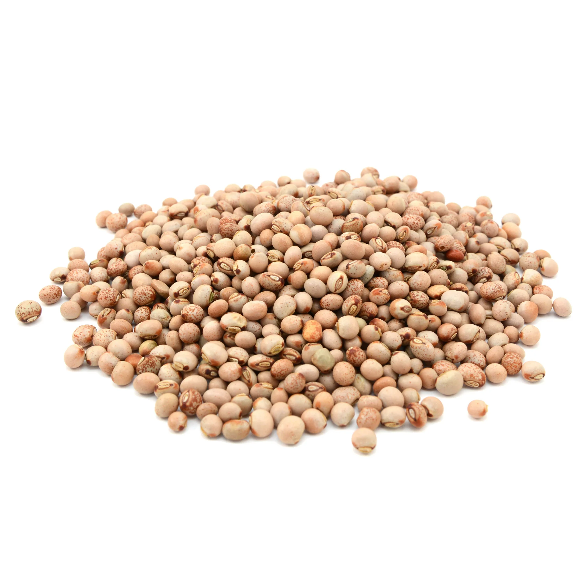 Голубой горох-высокое качество