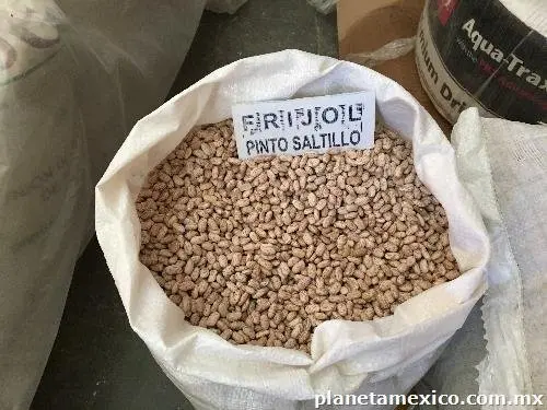 
Fresh High Quality Pinto Satillo Kidney Beans 
