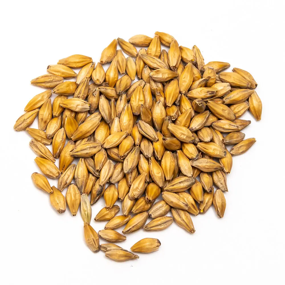 Зерна ячменя семена премиум класса корм для животных ячмень зерна оптом зерно ячменного солода с мелкой стружкой продажи высший сорт