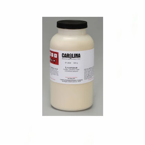 Direct Supplier Organic Health Supplement Lycopodium Spore Powder Extract Lycopodium Oleic Acid Powder 80%