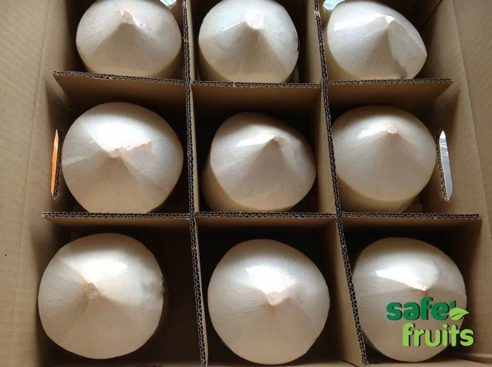 
100% Natural Fresh Coconut Young Coconut with High Quality for Wholesale Top Cover / Diamond cut / Round Shape Vietnam Coconut 