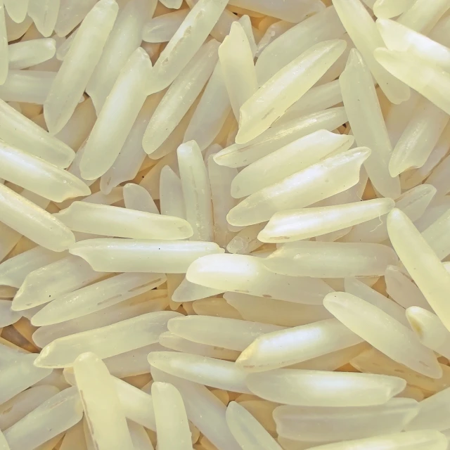 
1121 Steam Basmati Rice 