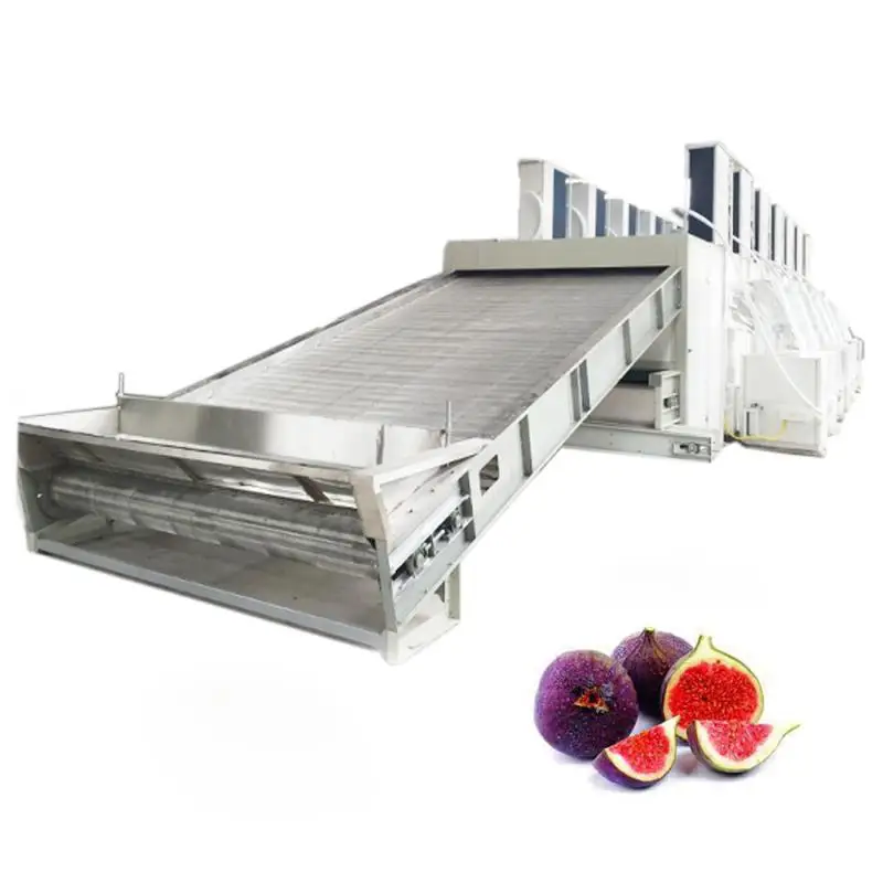 5 to 35 T continuous mesh belt  appricot plum figs  drying machine for commercial fruits  drying cabinet oven