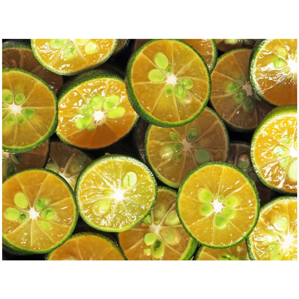 Natural Frozen Calamansi Juice Made In Vietnam