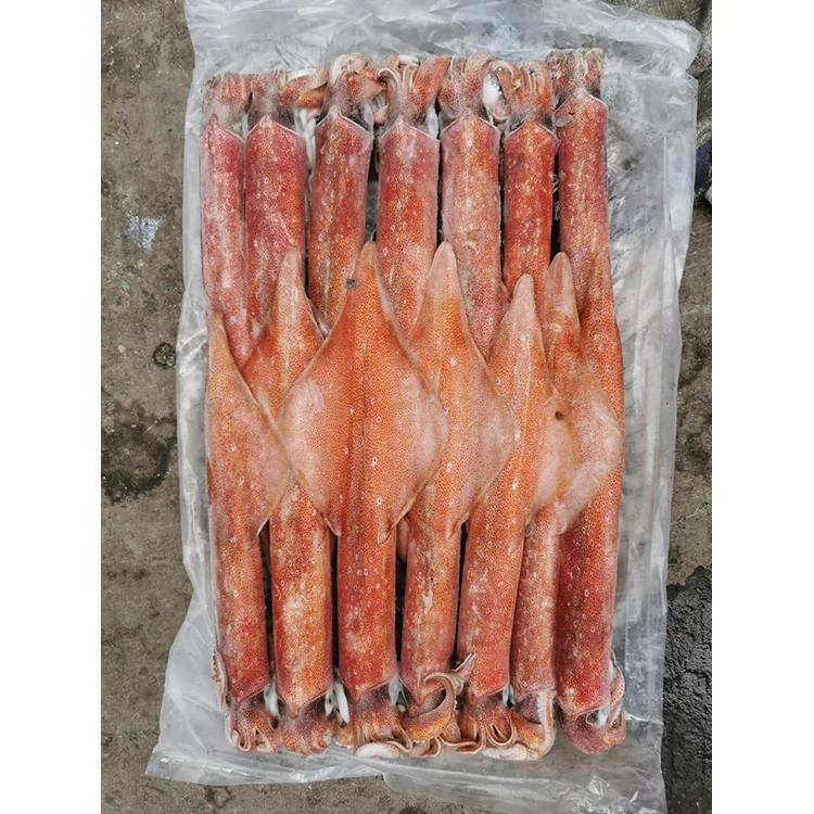 Squid Giant Good Price Frozen Squid