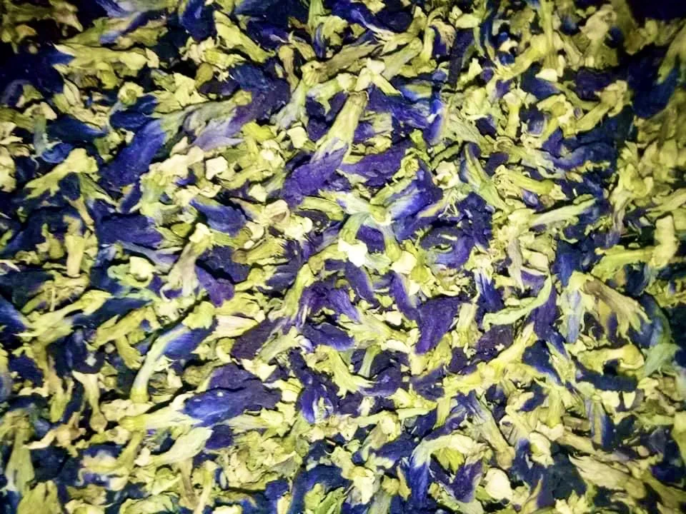
Blue Butterfly Pea Flower Tea Tea Bag OEM Packing -Contact W/A +84 90 335 49 81 ( Kim ) 