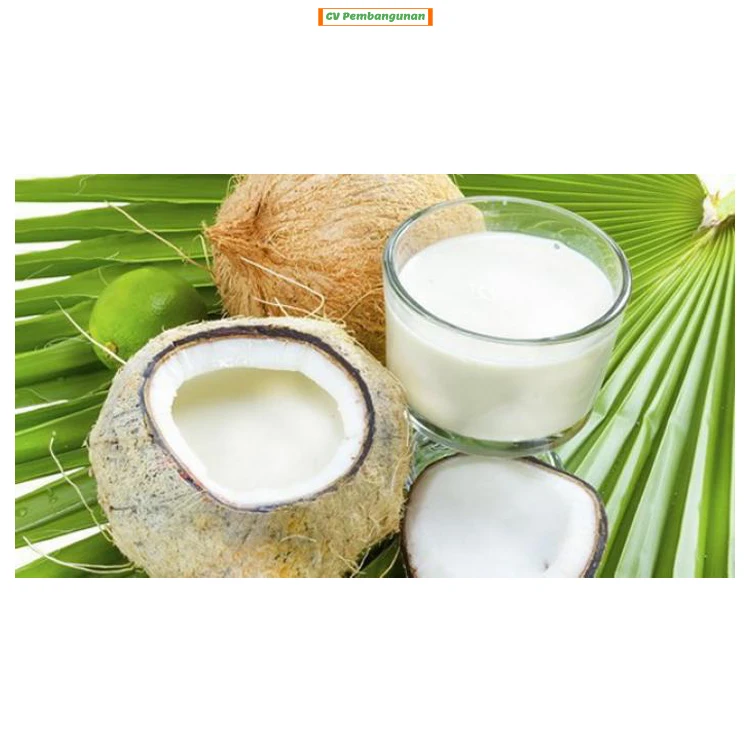 25 литров в упаковке для высококачественного свежего и натурального кокосового молока из Индонезии