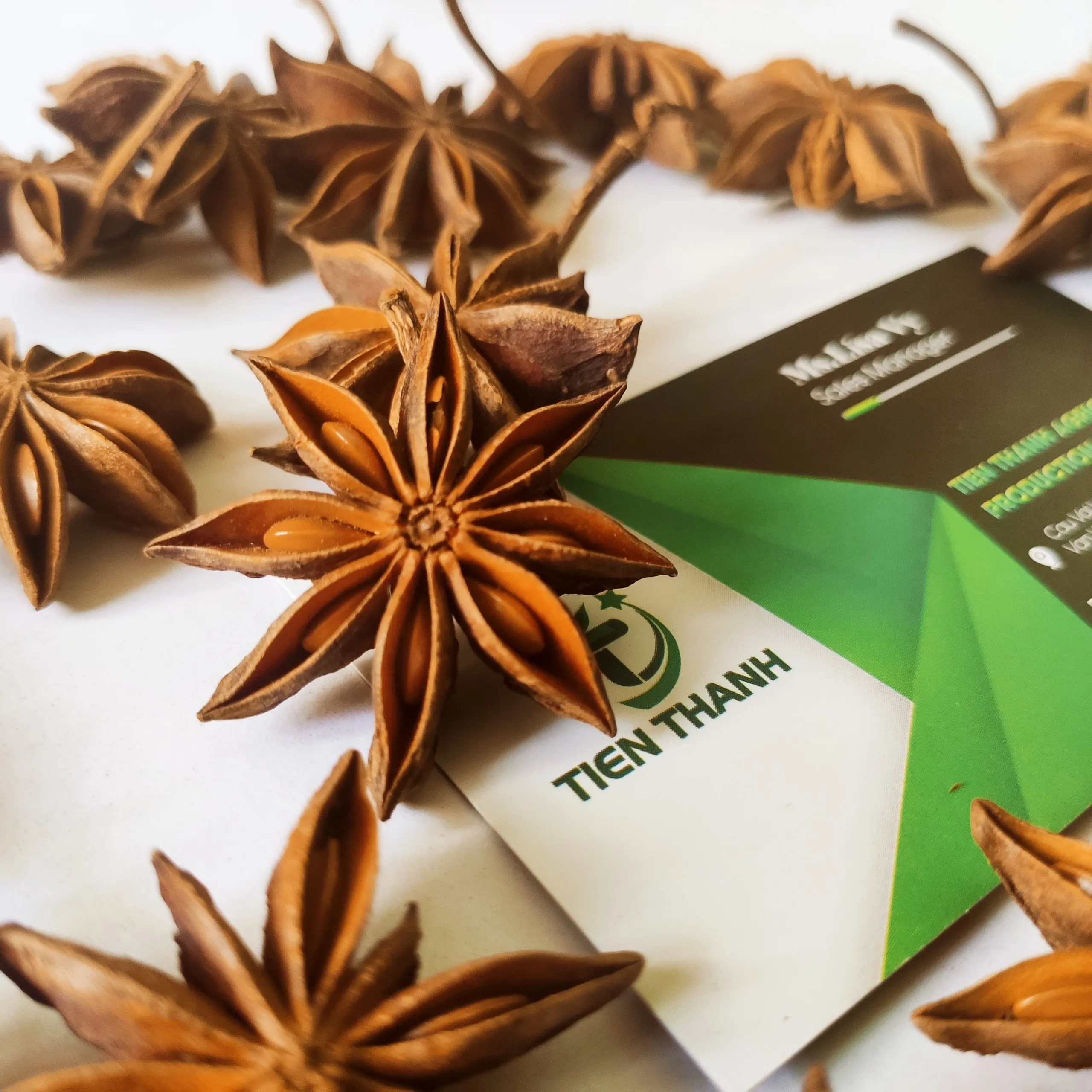 Bunga Lawang Kering/ Star Anis/ Illicium verum extract From Vietnam