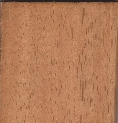 Hot Selling Economical solid wood dining chair modern Dining Room Seating Chair