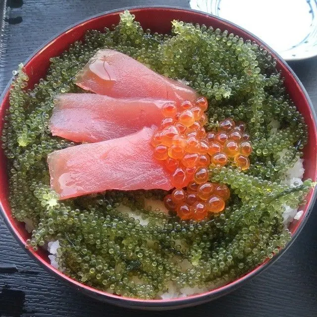 Зеленые водоросли Bryopsidale Okinawa/Ensaladanglato/морской виноград/Сабах/C. Четиллифера (Ms Деми: WhatsApp + 84 961 733 400)