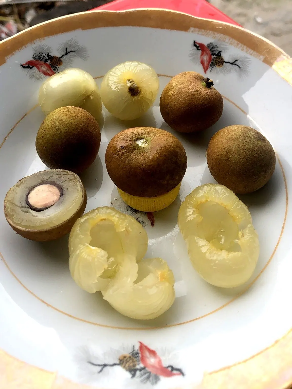 Longan fruit longan fresh fruit from Vietnam with the best quality.