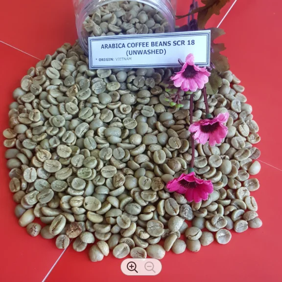 HIGH QUALITY Ru001DAW COFFEE BEANS ARABIA ROBUSTA -  WA: +84905010988