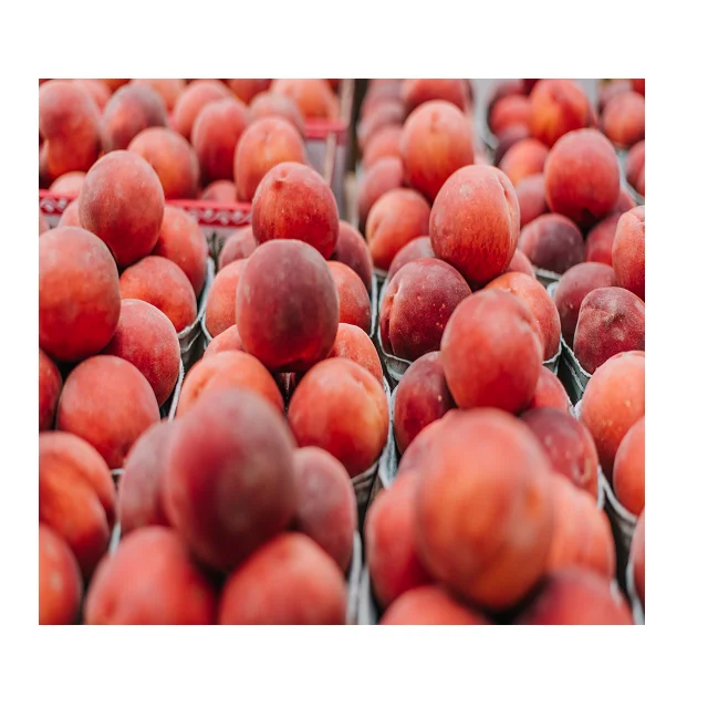 100% натурального пакистанского персики в доступная получения информации об оптовой цене