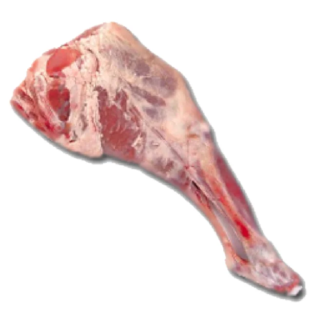 FROZEN BEEF/CATTLE/BUFFALO MEAT HALAL HIGH QUALITY