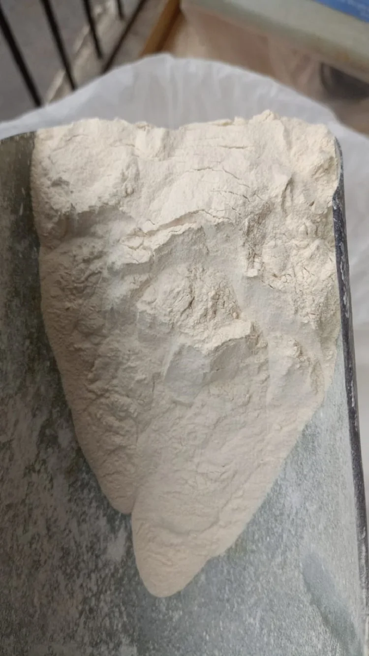 Salai Guggul Extract.jpeg