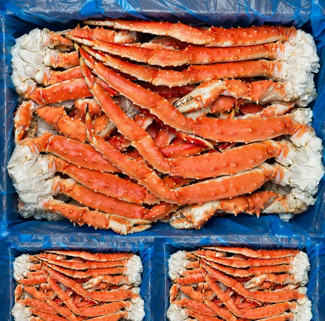 
Frozen King Crab,Live King Crabs,King Crab Legs 