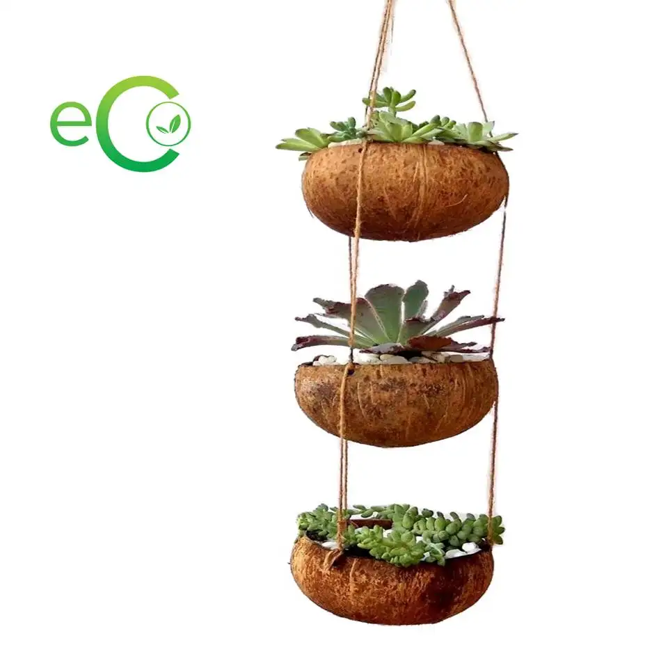 Хороший выбор для сада горшок из натуральной кокосовой скорлупы/горшок растений скорлупы и цветов