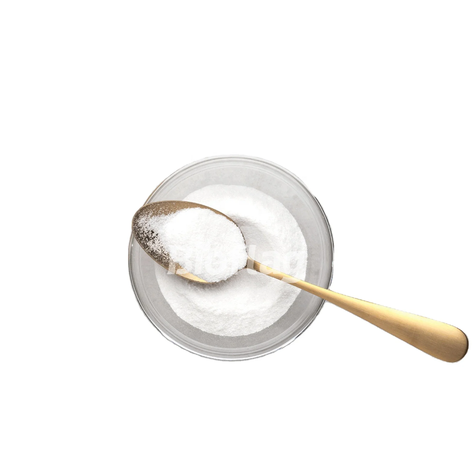 Lactobacillus Rhamnosus