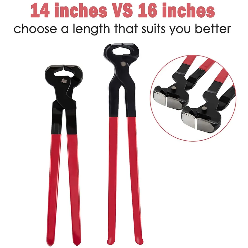 High Quality Stainless steel hoof Trimming Kits with wooden handle With Customized Logo And Made In Pakistan