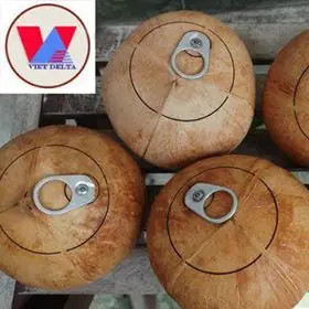 
Easy to use with Newest Ring Lid Fresh Coconut from Vietnam (Hot Product)-Ms Akina +84 902803631 