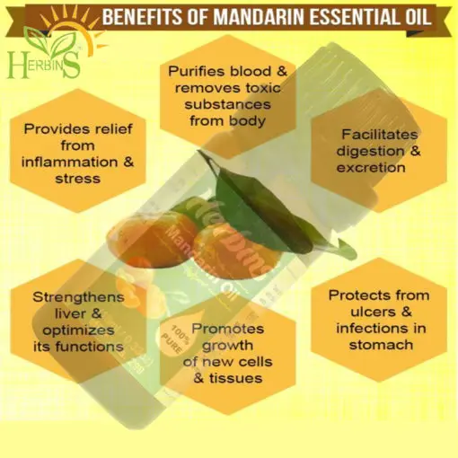 Bulk Supplier Organic Mandarin Essential Oil