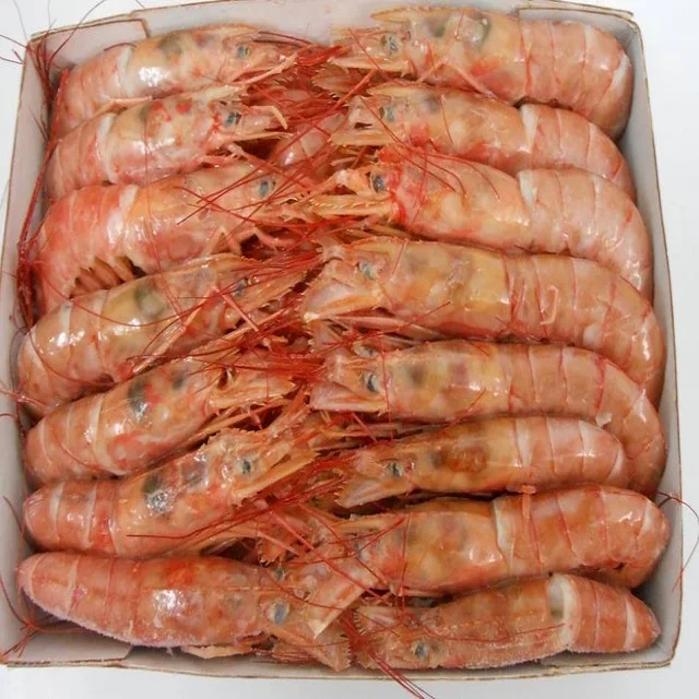Лучшее качество вкусные замороженные морепродукты хрустальные красные креветки для